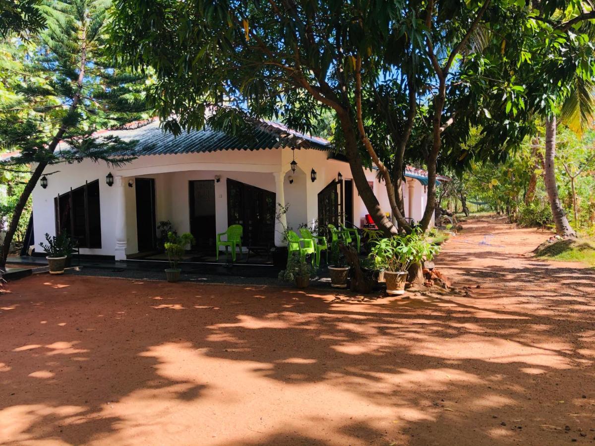 Dambulla City Hostel Exteriér fotografie