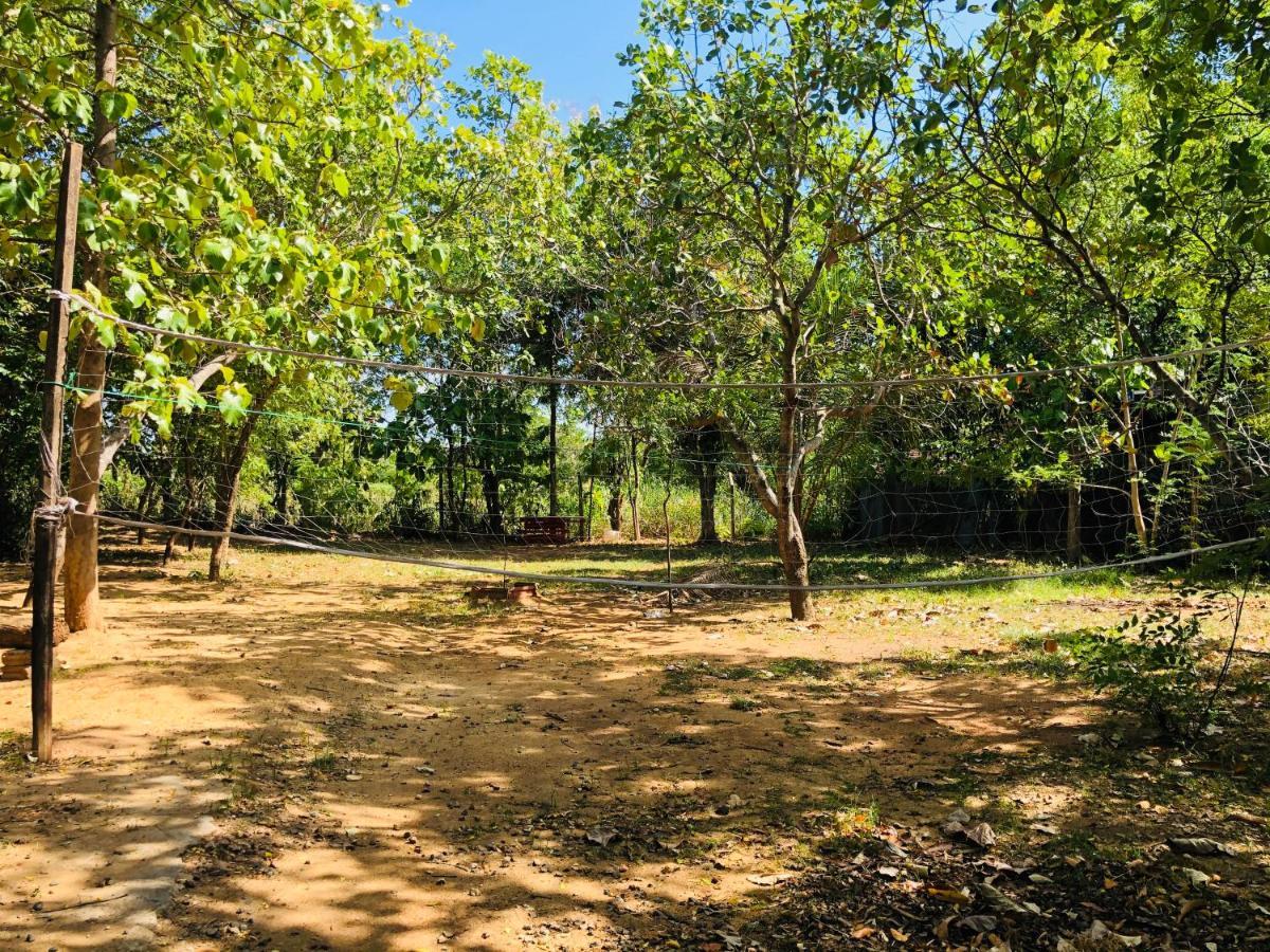 Dambulla City Hostel Exteriér fotografie